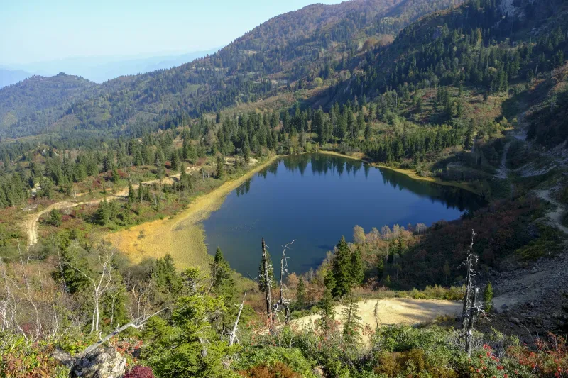 Artvin