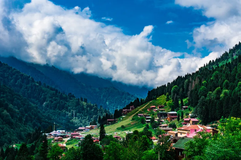Rize