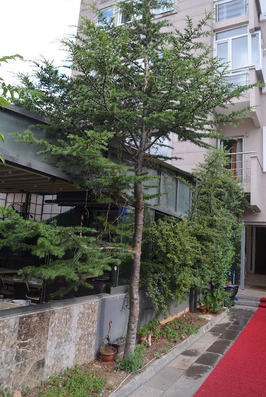 Maya Apart Otel