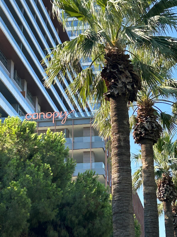 Canopy by Hilton Izmir Bomonti