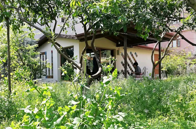 Sweet Little House