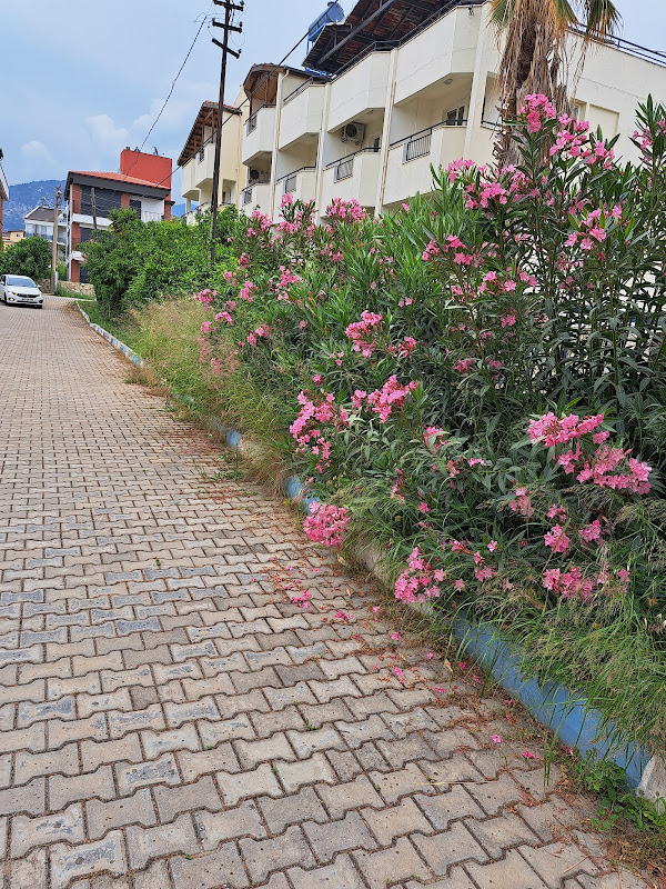 Hotel Hulya