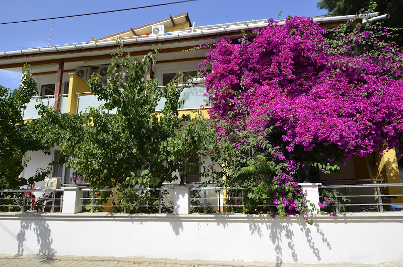 Truva Pension