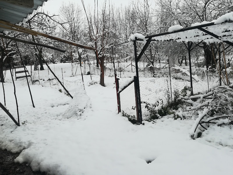 AKDOĞAN HOME