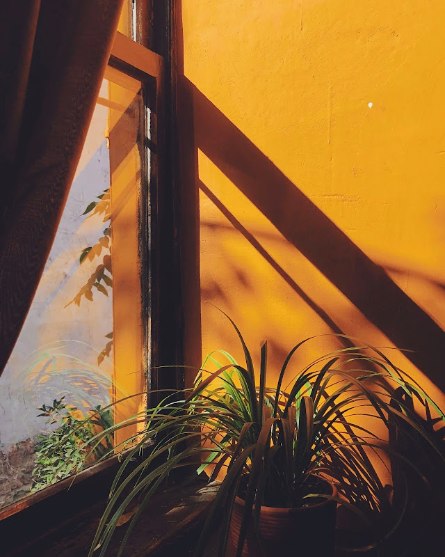 Titan House hostel