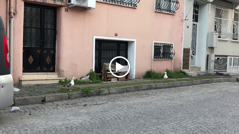 Hotel Antique