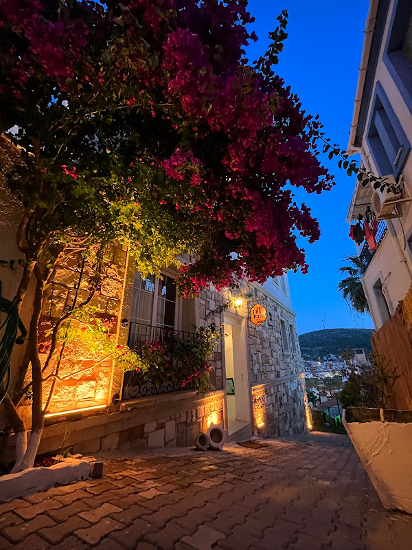 Villa Veria