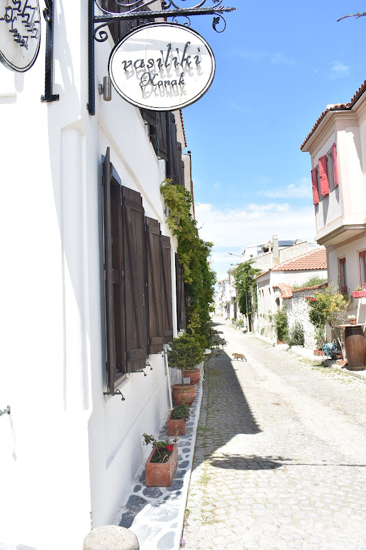 Vasiliki Konak